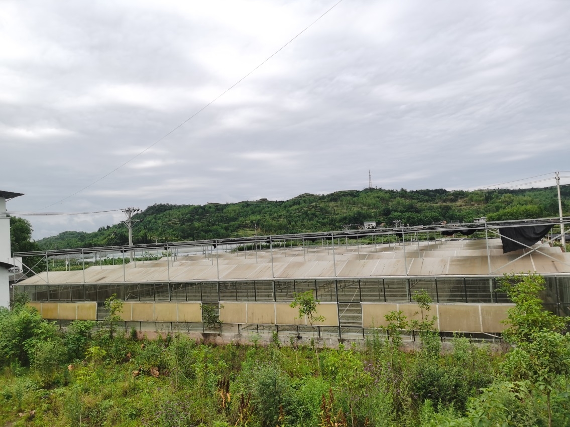 byHh_1685948950719068877.jpeg WPS图片(5).jpeg